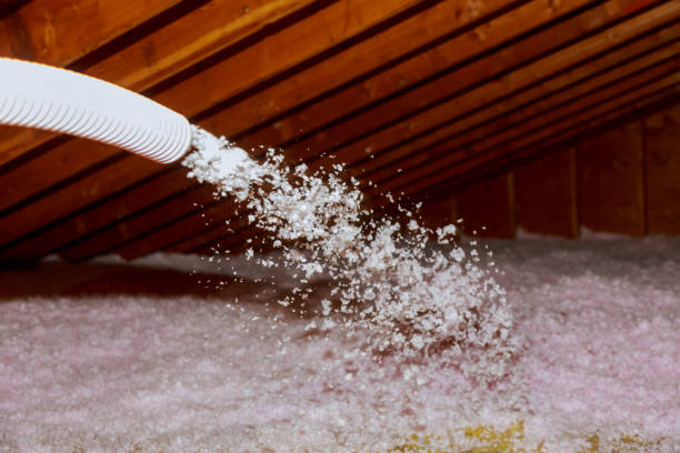 Best Local Insulation Services  in Wagener, SC