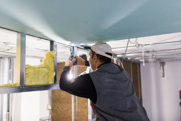 Best Insulation Contractor Near Me  in Wagener, SC