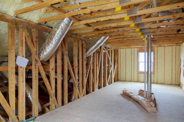 Best Fiberglass Insulation  in Wagener, SC