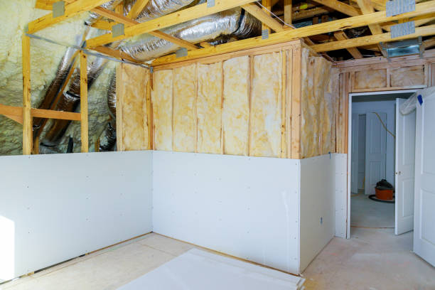 Best Cellulose Insulation  in Wagener, SC