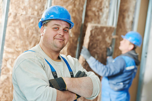 Best Professional Insulation Contractor  in Wagener, SC